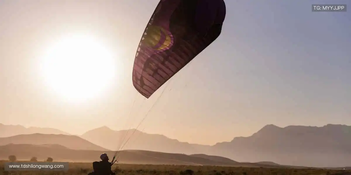 零时差直击，感受赛场魅力！🎯